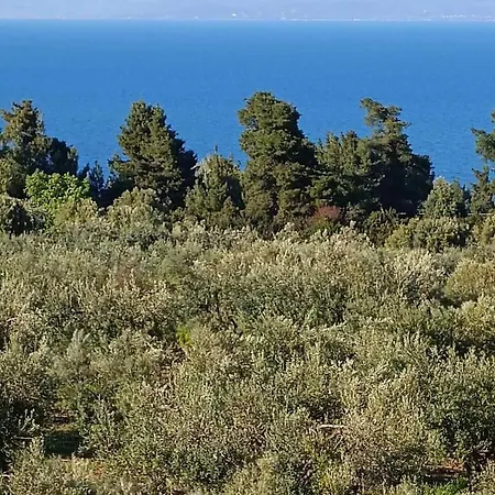Halkidiki Sea View *