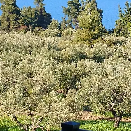 Halkidiki Sea View Kriopigi