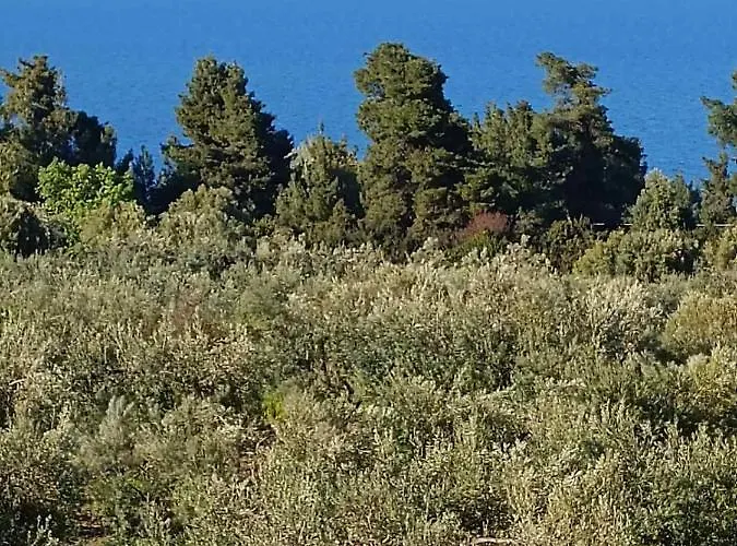 Halkidiki Sea View *